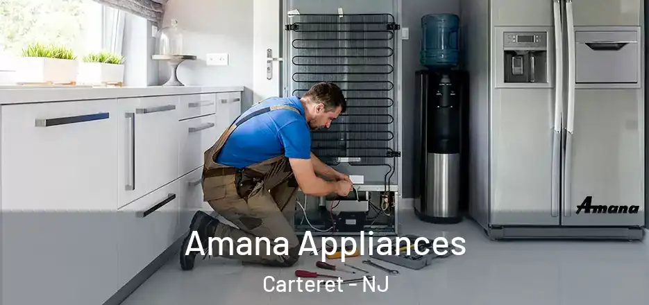  Amana Appliances Carteret - NJ