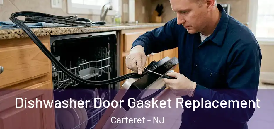  Dishwasher Door Gasket Replacement Carteret - NJ