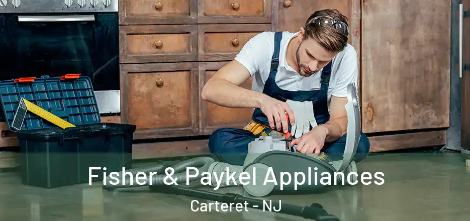  Fisher & Paykel Appliances Carteret - NJ