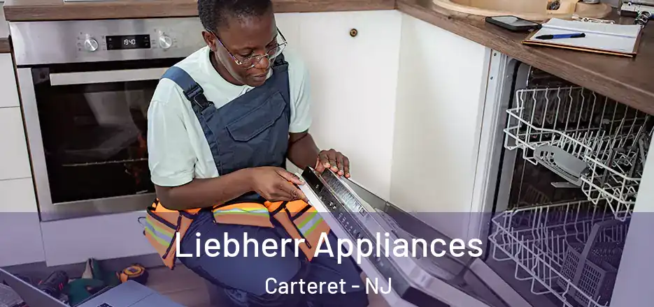  Liebherr Appliances Carteret - NJ