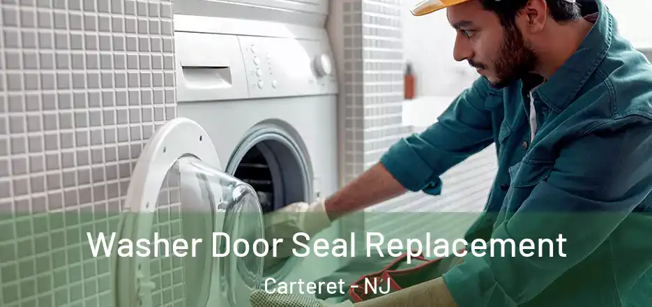  Washer Door Seal Replacement Carteret - NJ